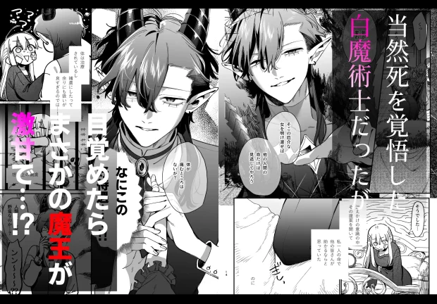 ずたぼろ白魔術師、天然魔王さまの愛玩ペットに堕ちる